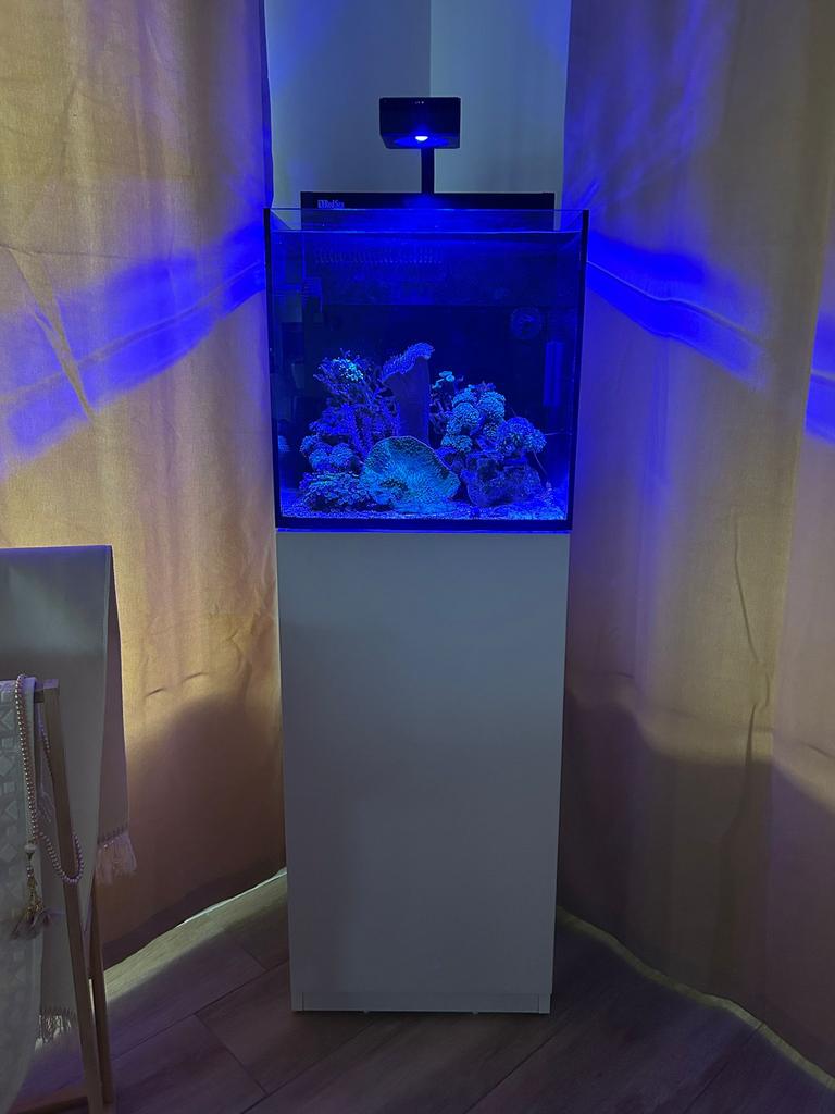 Red sea 75l zeeaquarium full set, Ophalen, Pomp, Zo goed als nieuw, Red Sea