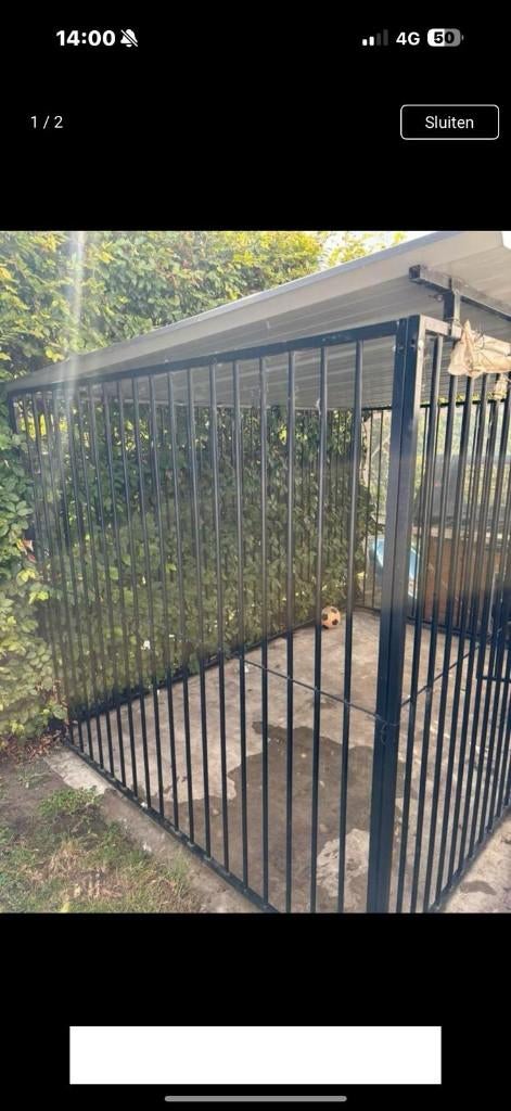 Honden ren 3x2m, Dieren en Toebehoren, Ophalen, Hondenkennel, 100 cm of meer, 110 cm of meer