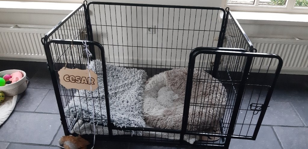 Honden bench, Ophalen, Zo goed als nieuw