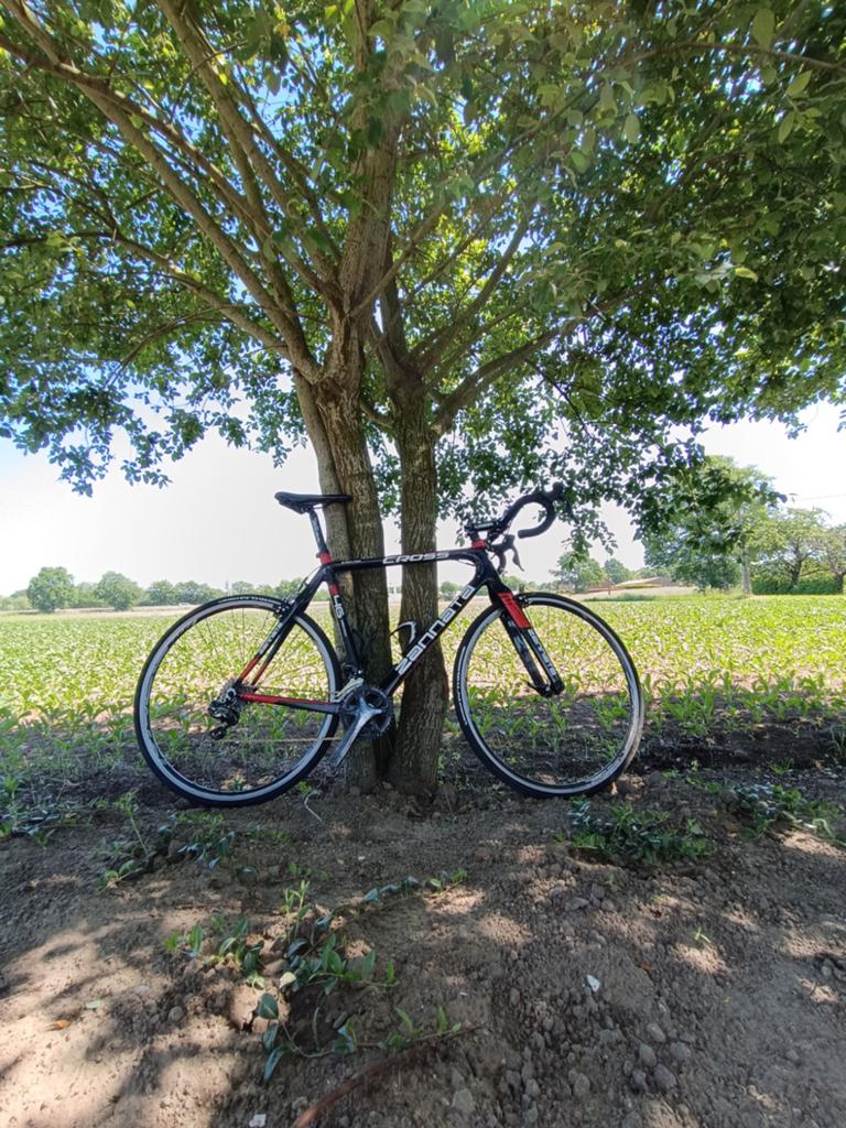 Cross fiets Zannata, Vélos & Vélomoteurs, Frein sur jante, 24 pouces ou plus, Zannata, Enlèvement
