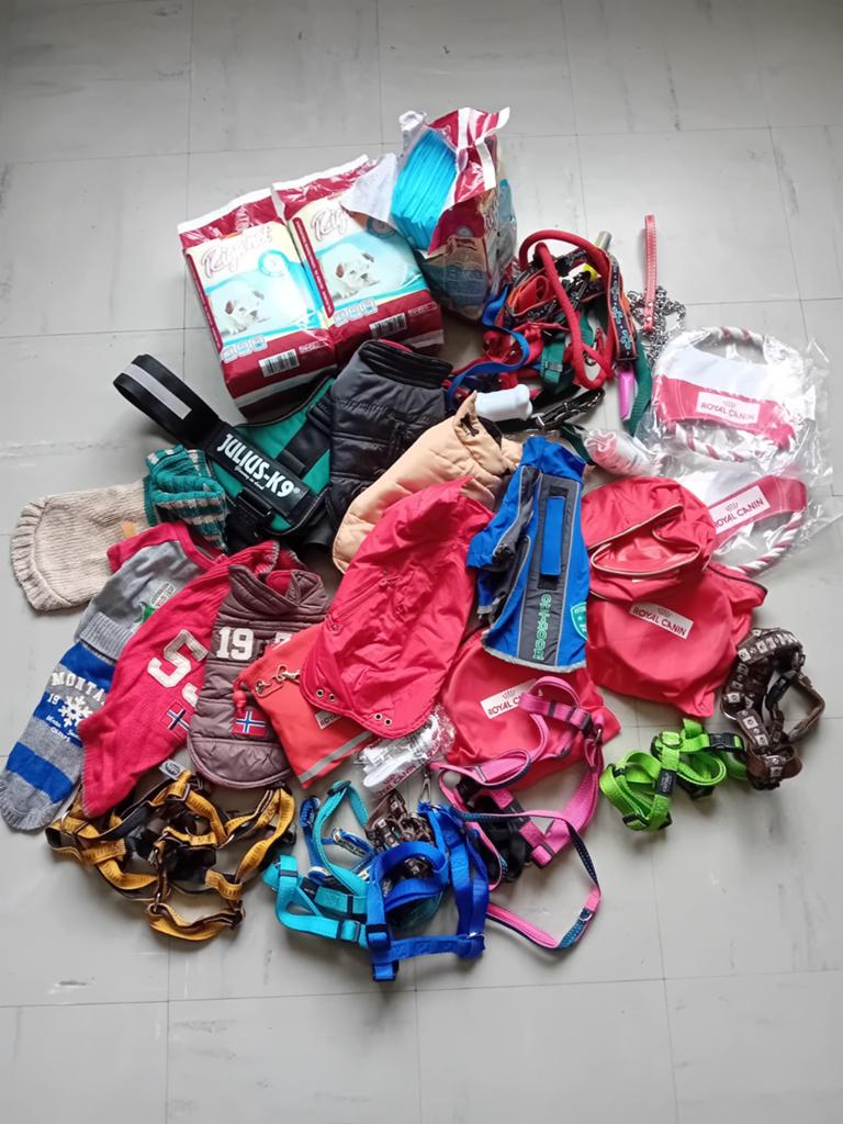 Accessoires pour chiens !!!!, Animaux & Accessoires, Enlèvement