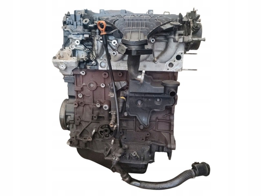 Moteur RHH Nu CITROEN C5, Envoi, Utilisé, Daihatsu