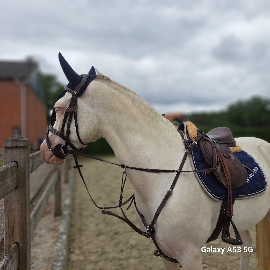 Mooie 7 jarige D pony ruin, Dieren en Toebehoren, B, Ruin, Springpony, Gechipt