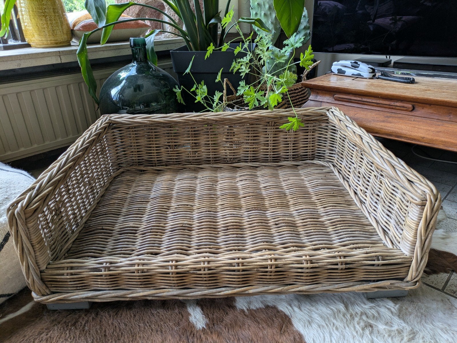 Mooie grote rotan hondenmand, Ophalen, Zo goed als nieuw, Riet
