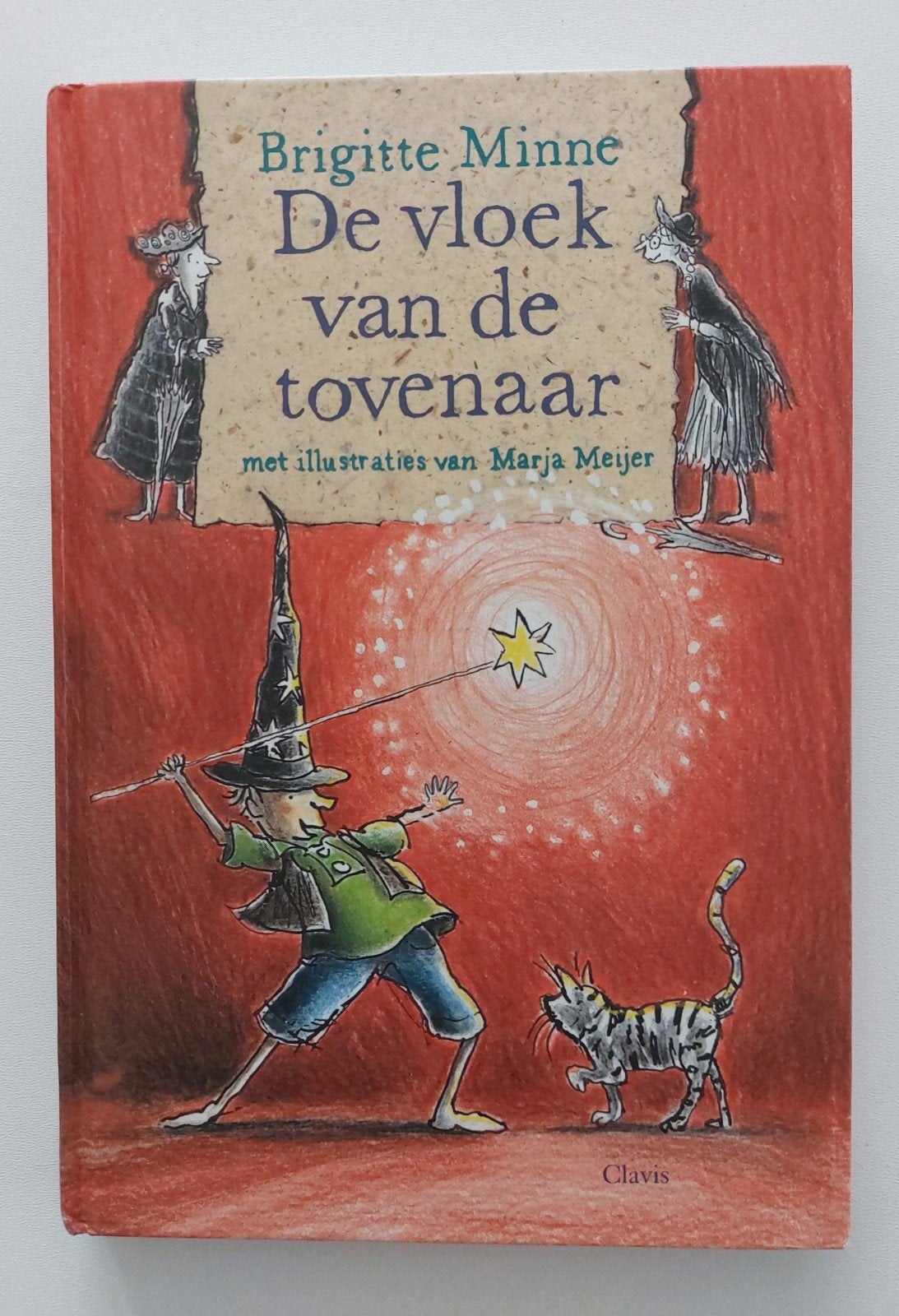 BOEK - DE VLOEK VAN DE TOVENAAR, Ophalen of Verzenden, Brigitte Minne