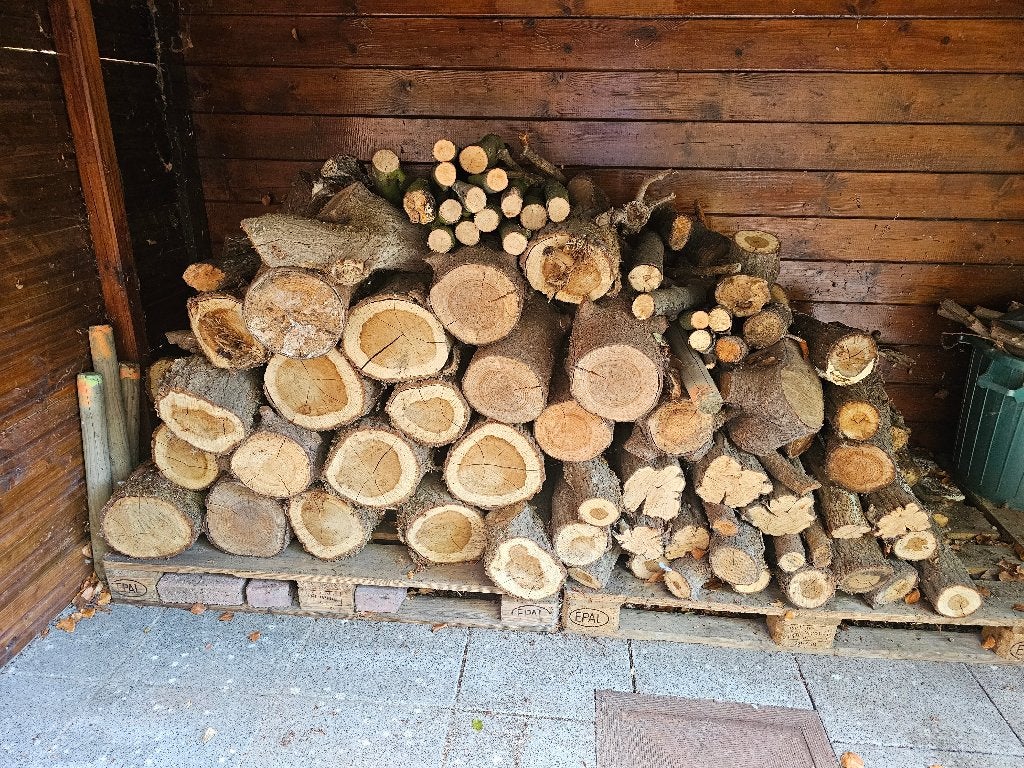 Bois de chauffage - Sec - Hêtre - Chêne - 1,6 m3, Moins de 3 m³, Enlèvement, Hêtre, Bûches