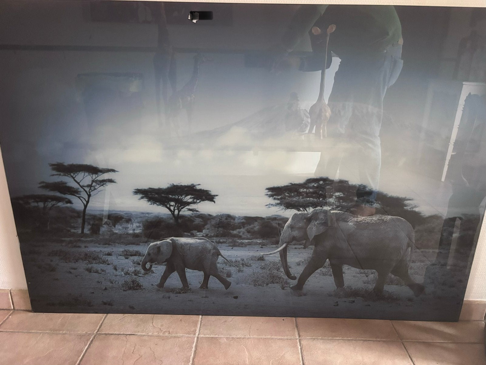 Safari op glas, Ophalen, Zo goed als nieuw, Glas