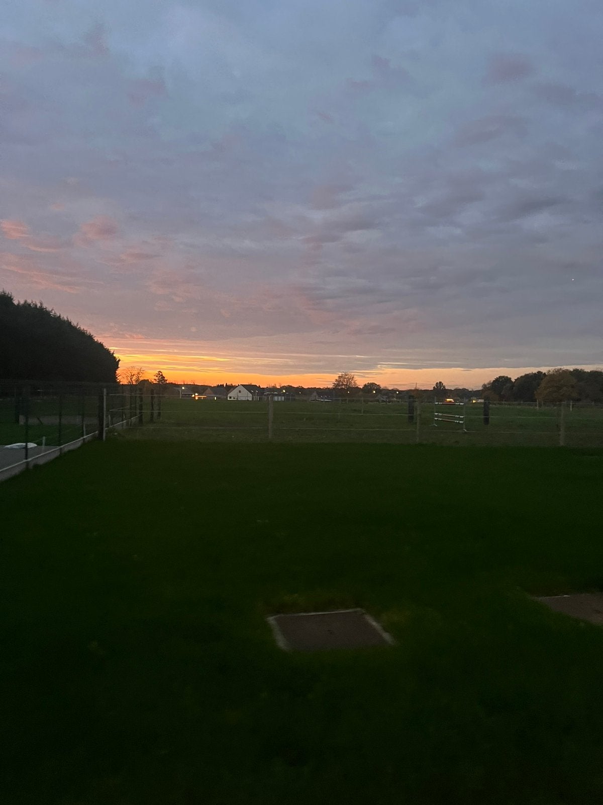 Stal te huur, Dieren en Toebehoren, Paarden, Meerdere dieren