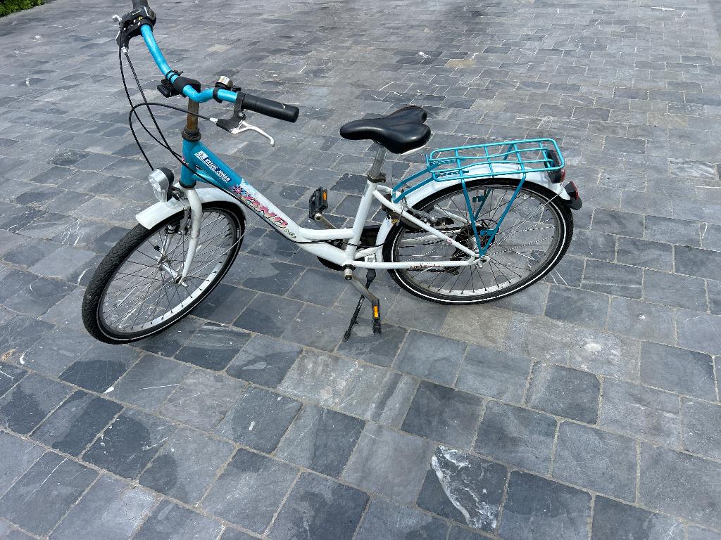 Meisjesfiets, Fietsen en Brommers, Ophalen, 20 inch of meer, Gebruikt, Velgrem