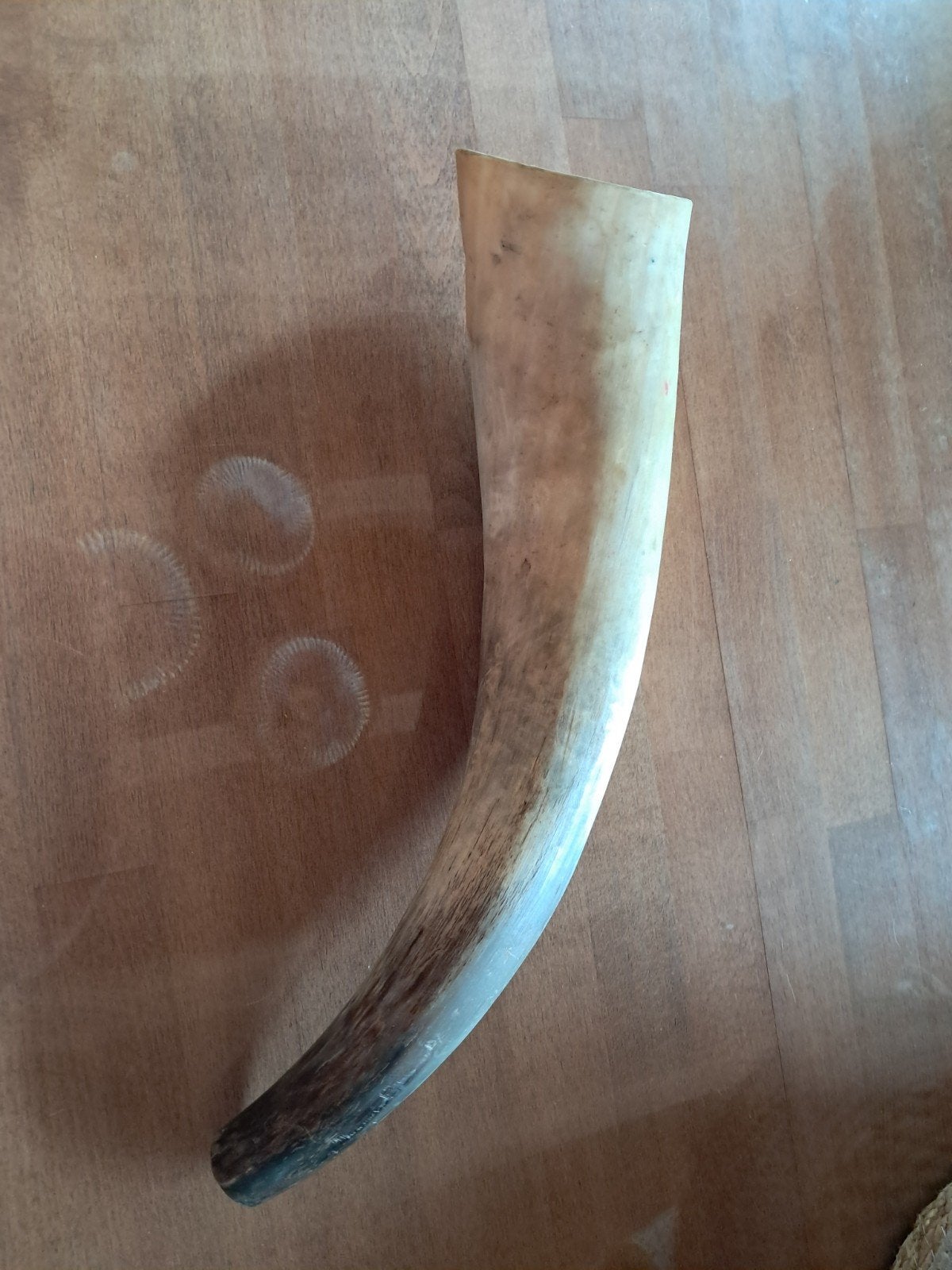 corne de chasse / corne d’appel en corne véritable, Ophalen of Verzenden