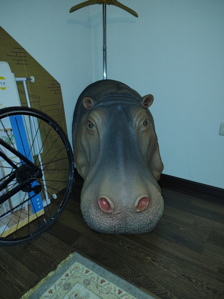 Tête d'hippopotame en polyester, Enlèvement