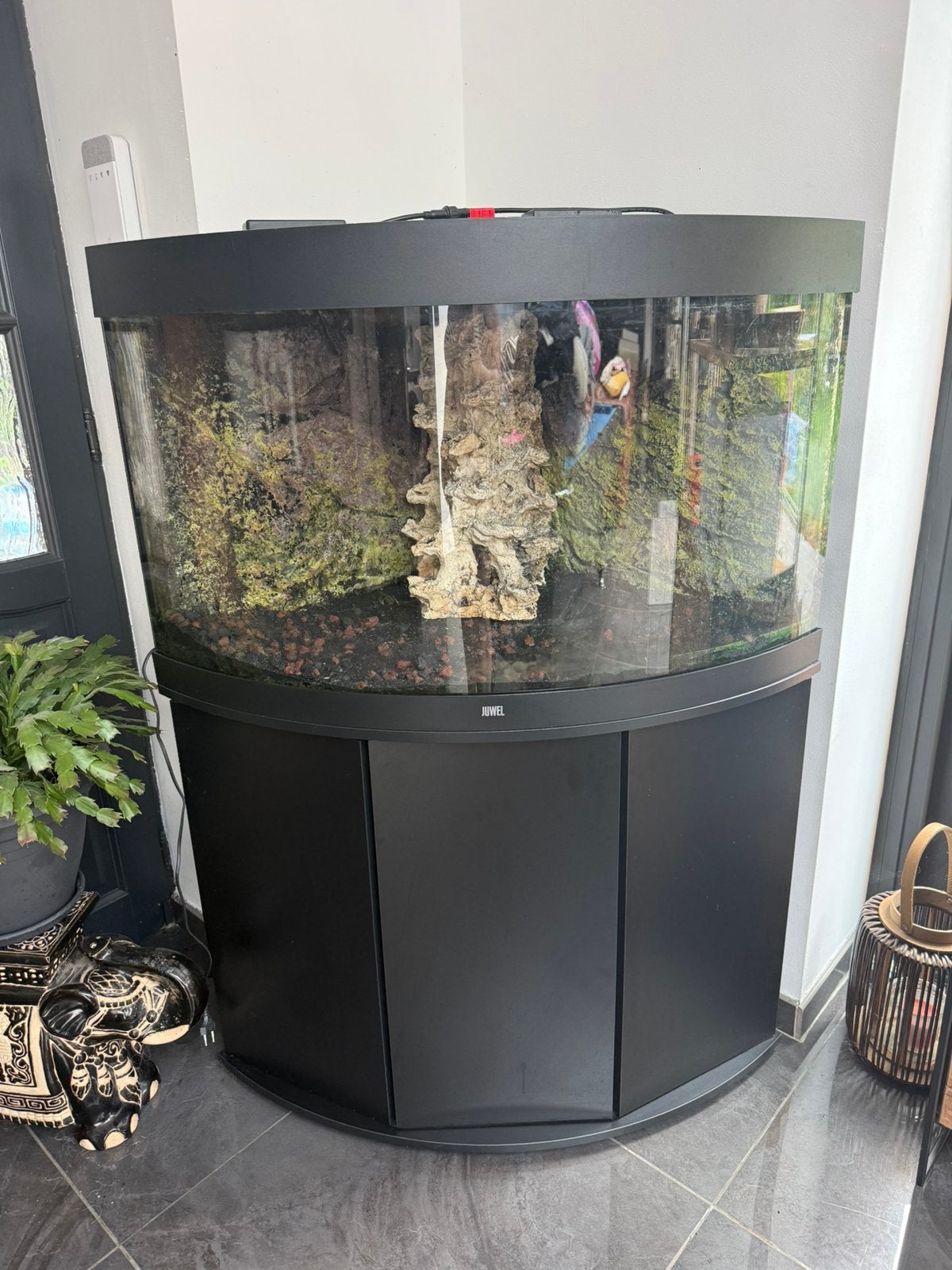 Aquarium avec meuble de marque JUWEL, eclairage compris ., Contrôle par application, Aquarium vide, Enlèvement, Utilisé