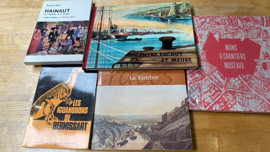 Ancien livres sur le Borinage, Livres, Enlèvement ou Envoi
