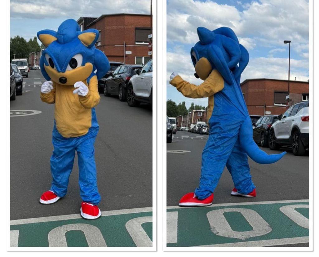 Mascotte SONIC ACTIEPRIJS, Enlèvement