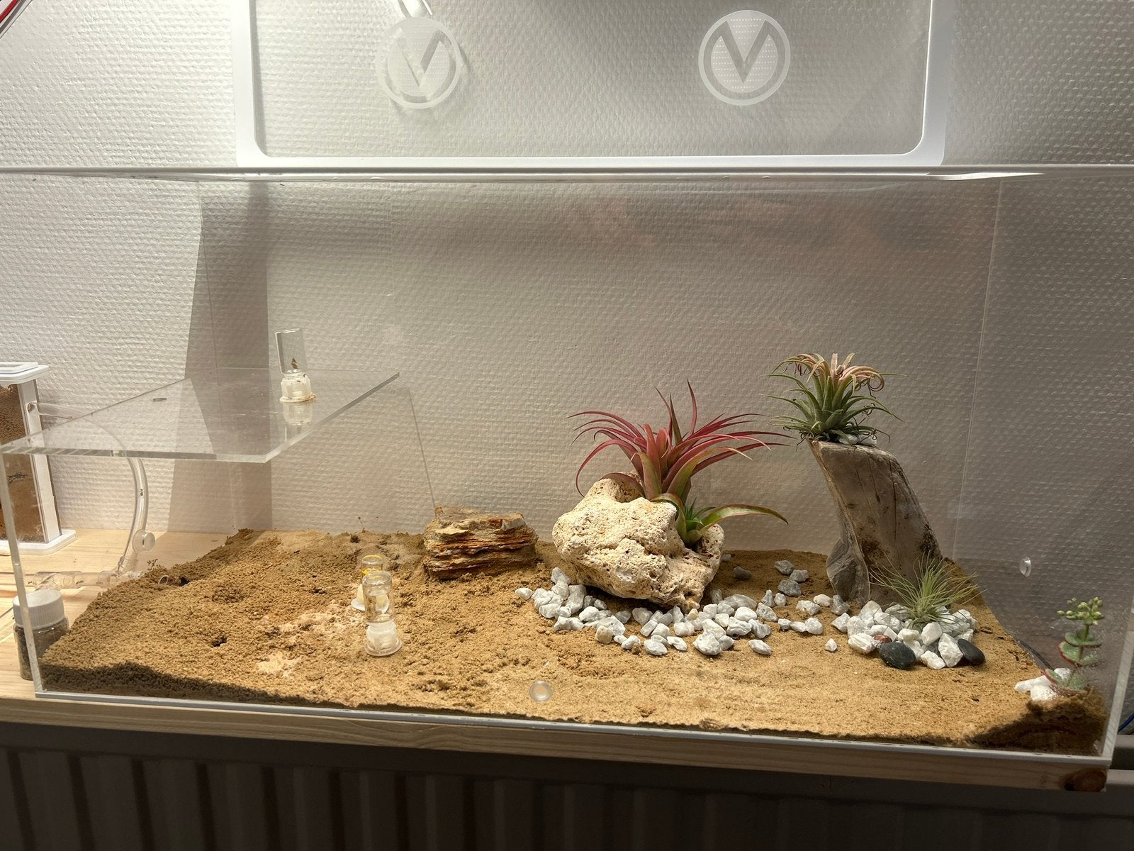 Formicarium voor mieren plus nesten en toebehoren, Dieren en Toebehoren, Ophalen, Gebruikt