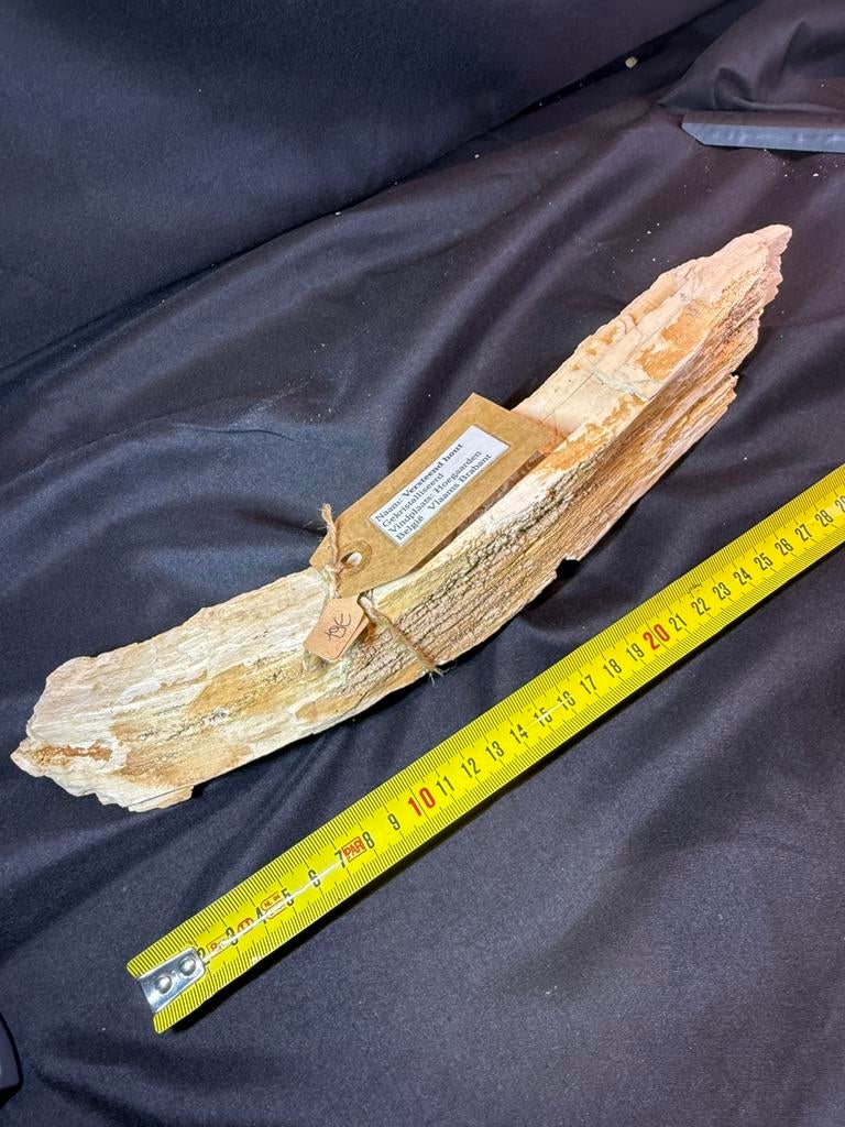 Groot versteend hout met kristallen – Hoegaarden – 1kg– €19, Ophalen of Verzenden