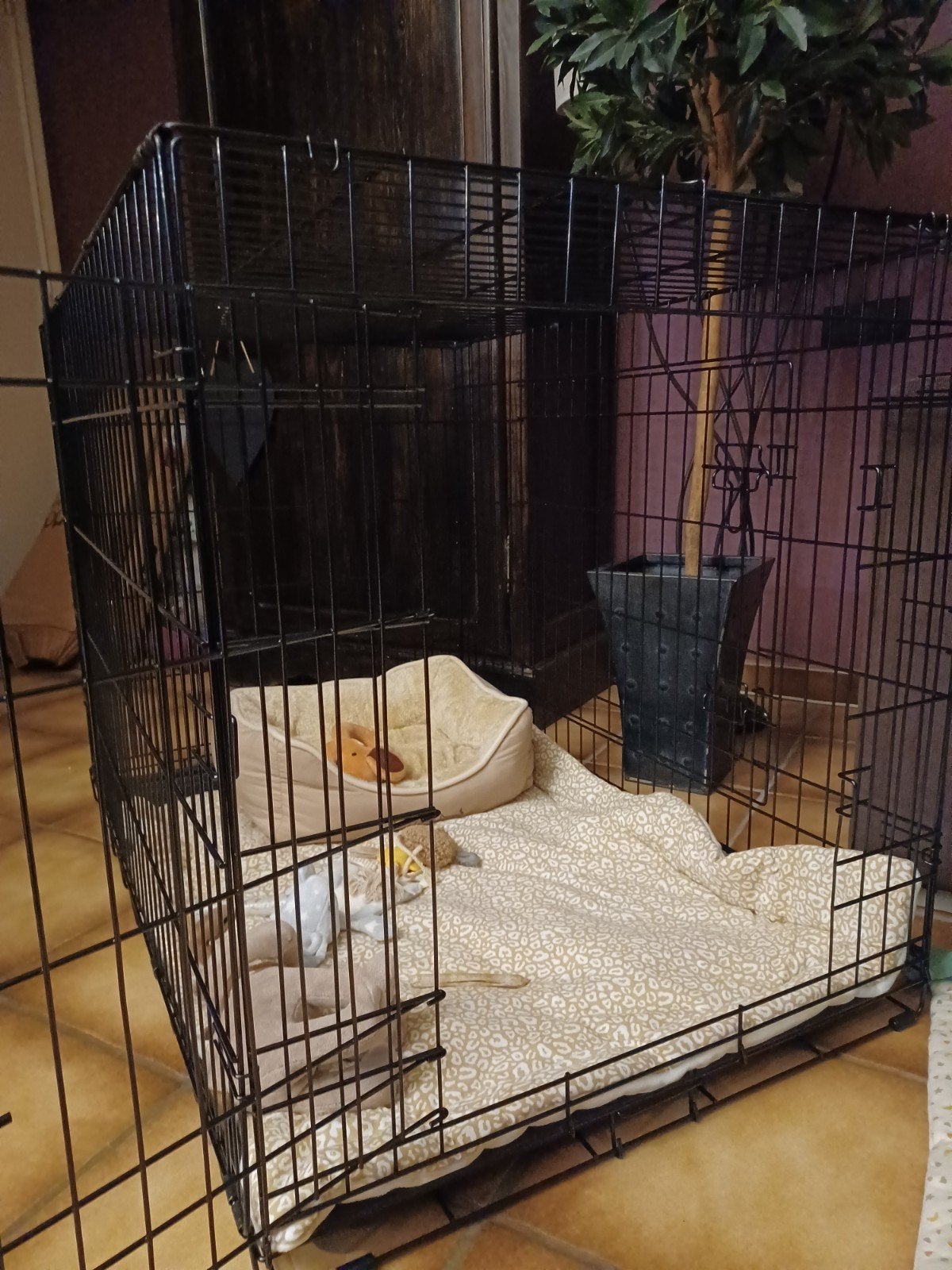 très belle cage noir pour petit chien, Enlèvement