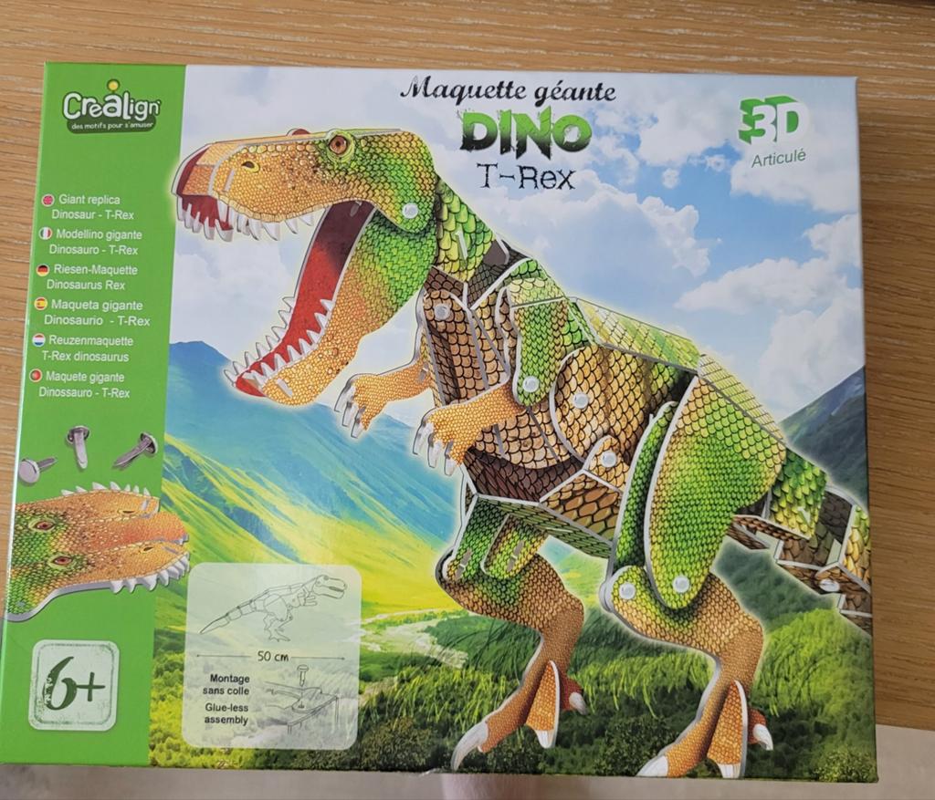Maquette geante neuve  t-rex 6 ans et plus, Enlèvement, Construction