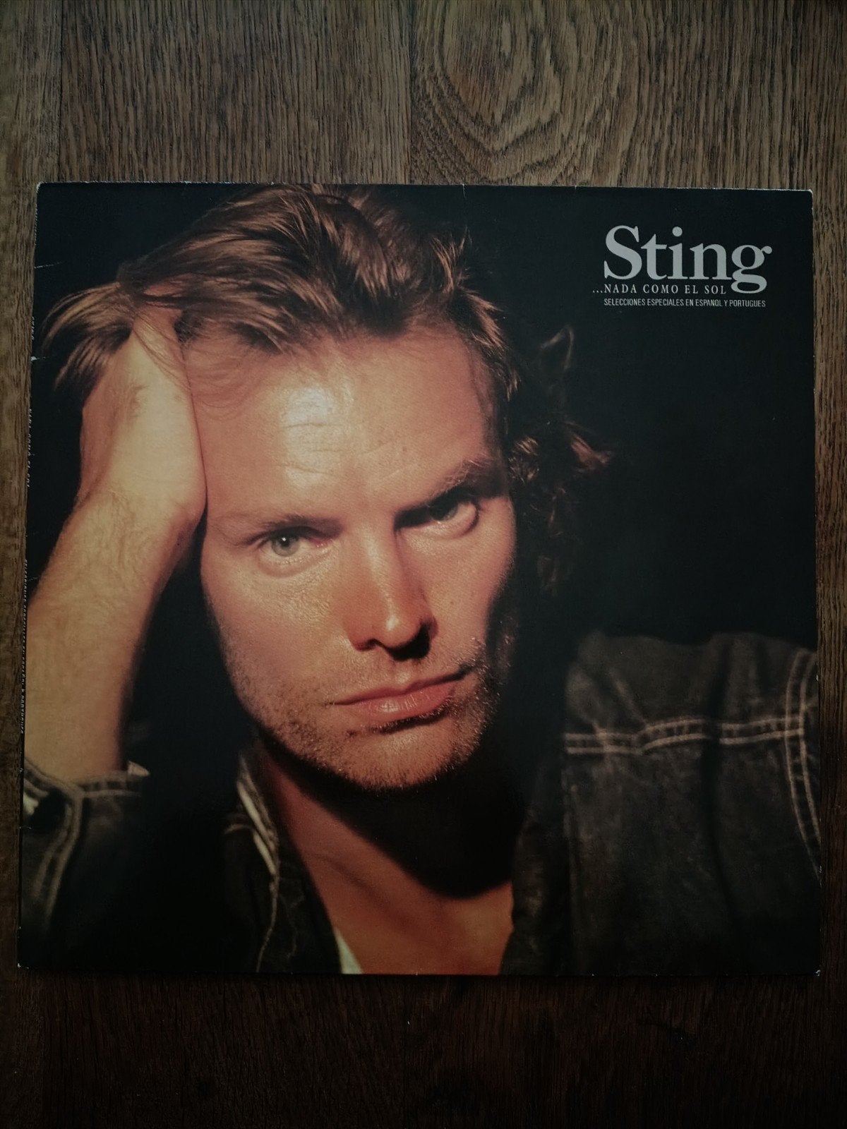Vinyle 33T Sting, LP, Enlèvement ou Envoi, Autres formats, Utilisé