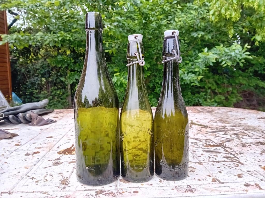 Oude vintage bierflessen brouwerij Sint Antoon Gullegem, Ophalen of Verzenden