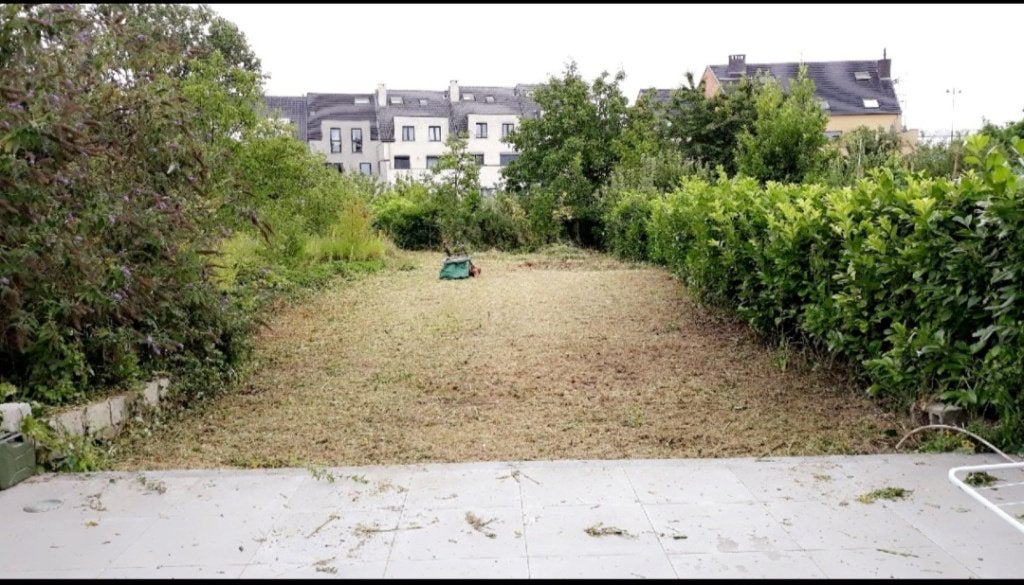 Jardinier disponible, Enlèvement