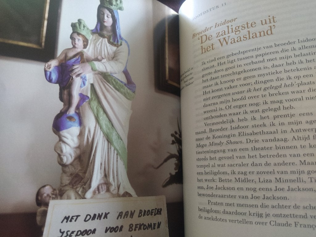 boek:elfde gebod-mystieke plaatsen en figuren in Vlaanderen, Ophalen of Verzenden, Gelezen, Christendom | Katholiek