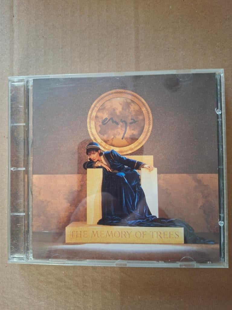 Enya, Enlèvement