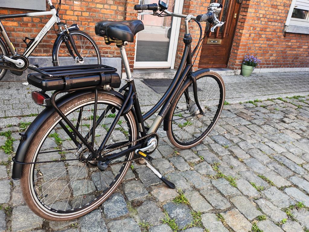 Batavus elektrische fiets, Fietsen en Brommers, Ophalen, Batavus