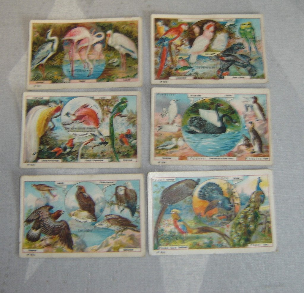 Margarine Chromos ERA Série 19, Collections, Avant 1940, Gravure, Utilisé, Autres sujets/thèmes