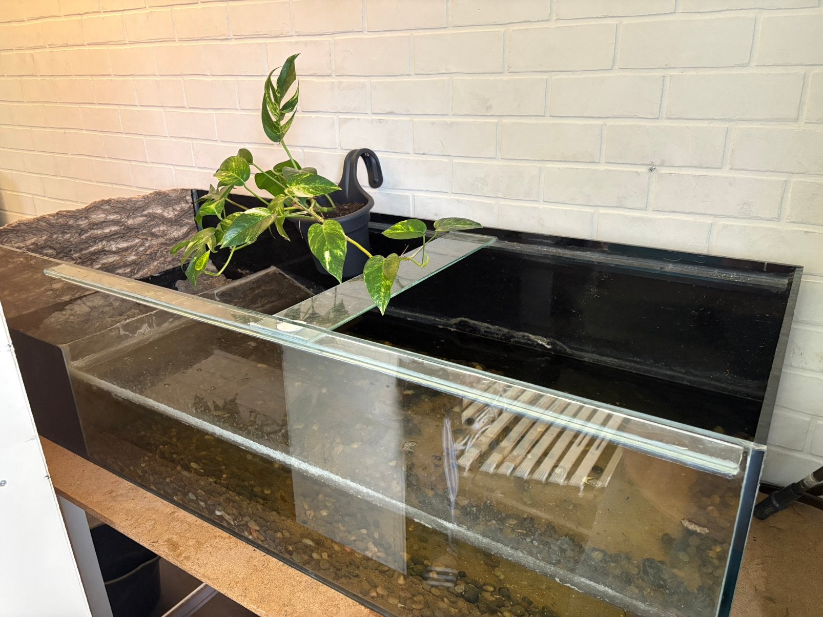 Aquarium, Enlèvement, Comme neuf