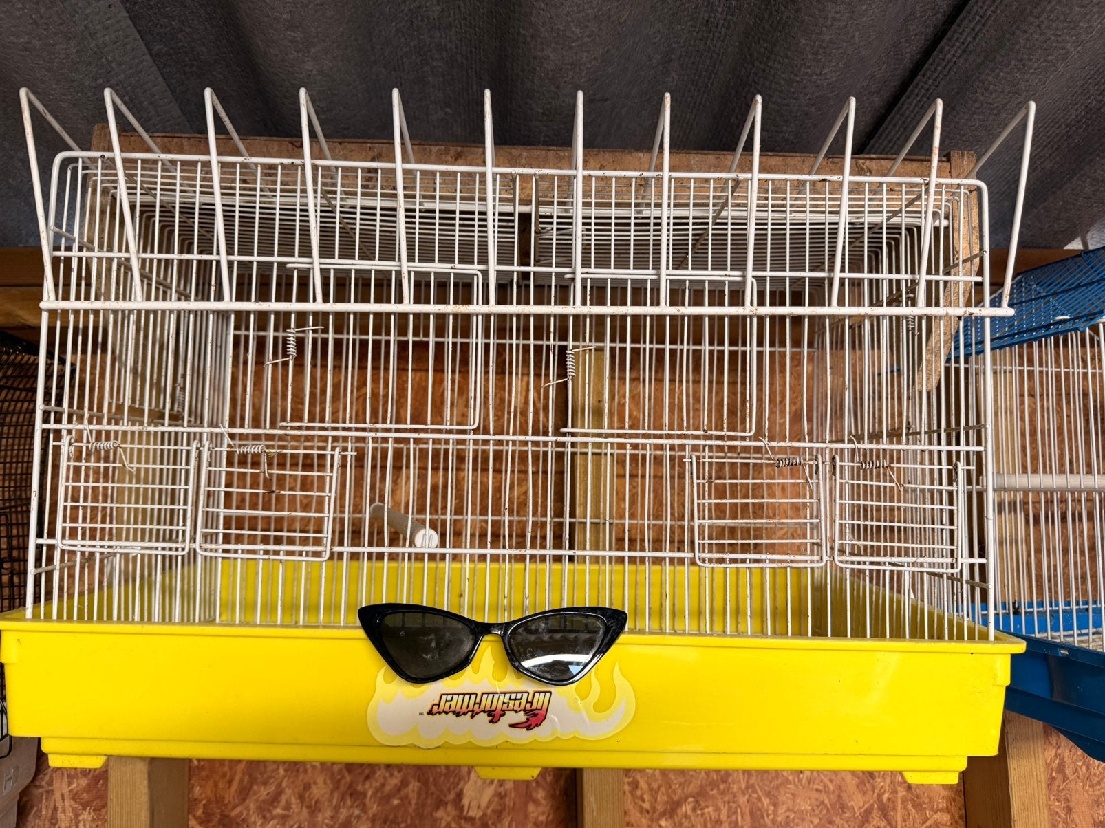 Volgels kooi €15, Dieren en Toebehoren