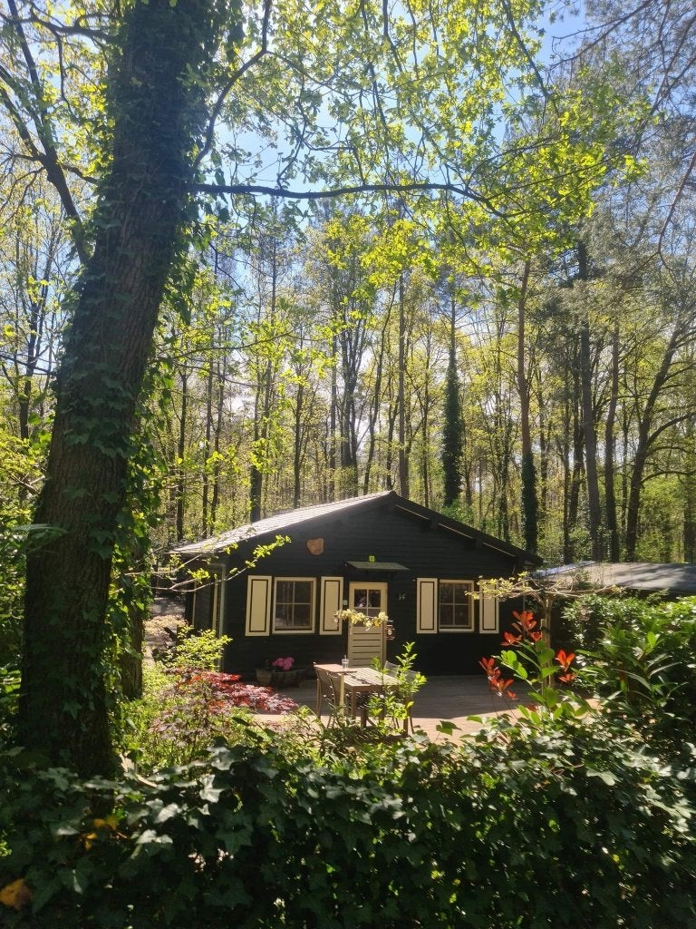 vakantiehuisje te koop, Vakantie, In bos, Limburg of Luik, 2 slaapkamers, Recreatiepark
