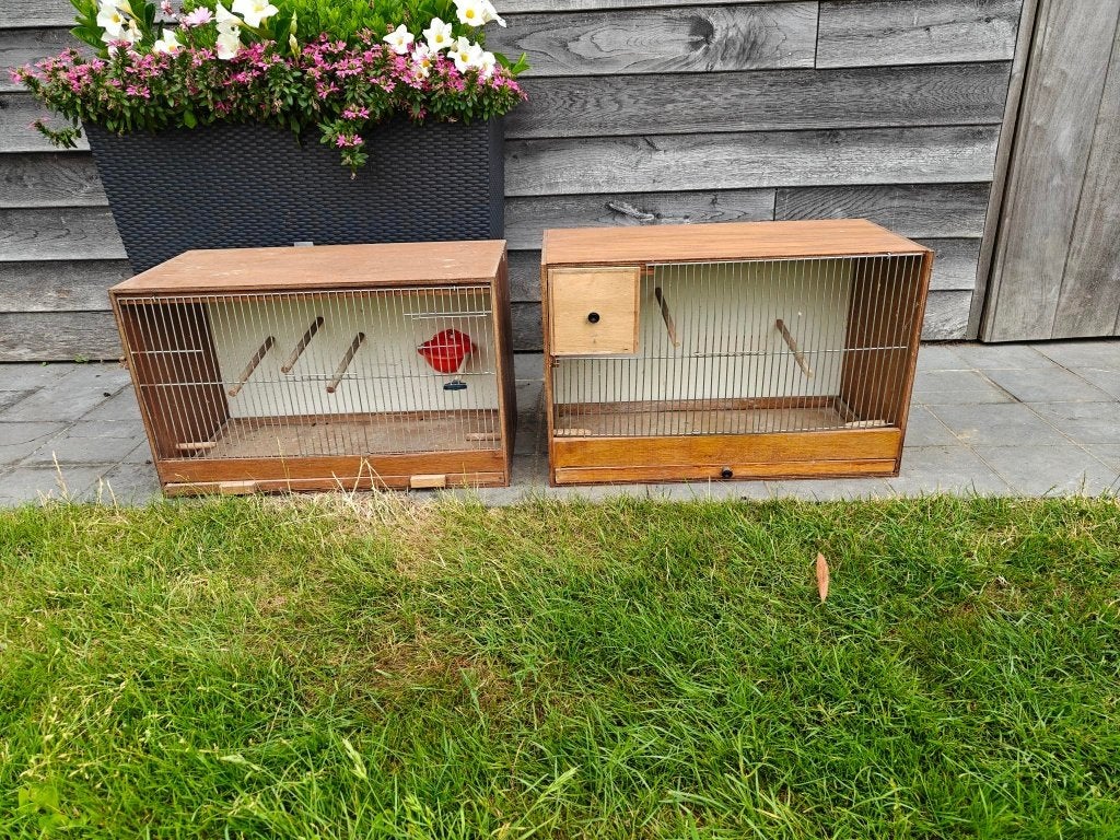 Vogelkooien, Animaux & Accessoires, Oiseaux | Cages & Volières, Enlèvement, Utilisé, Bois, Cage d'élevage