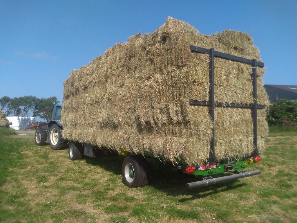 hooi in kleine of grote balen, Dieren en Toebehoren, Ophalen, Vee