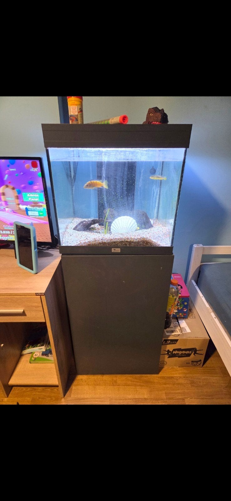 aquarium van Aquatlantis 
verkoop wegens plaatsgebrek., Dieren en Toebehoren, Ophalen of Verzenden, Inclusief toebehoren, Filter