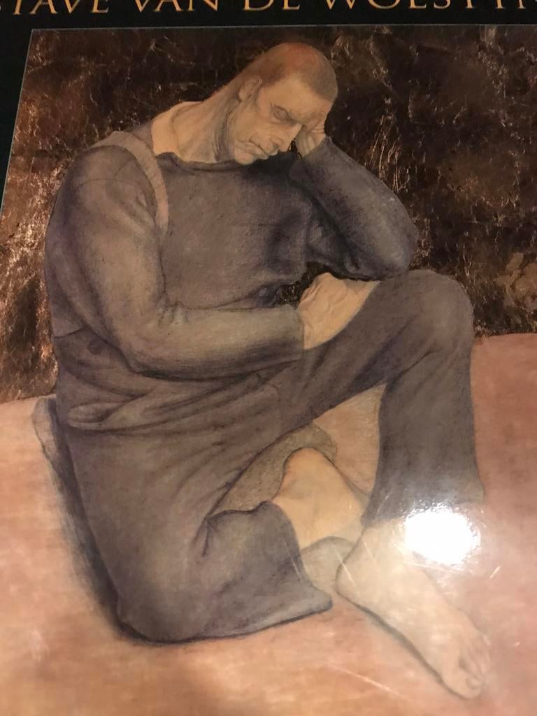 Gustave van de Woestyne Schilderijen 200pag, Ophalen of Verzenden, Zo goed als nieuw, Schilder- en Tekenkunst