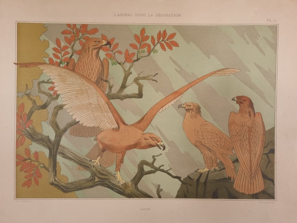 Art nouveau litho Aigles (adelaars) - M.P. Verneuil 1897, Gesigneerd in de plaat, Ophalen, Dieren en Natuur, Lithografie