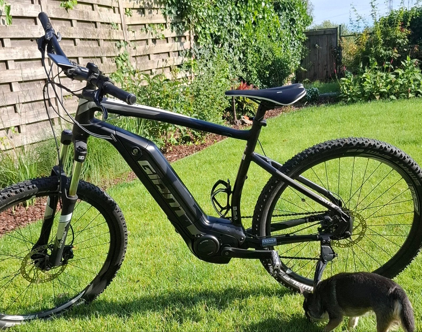 Elektrische mountainbike  Giant met zware 800wh batterij en, Ophalen, Giant