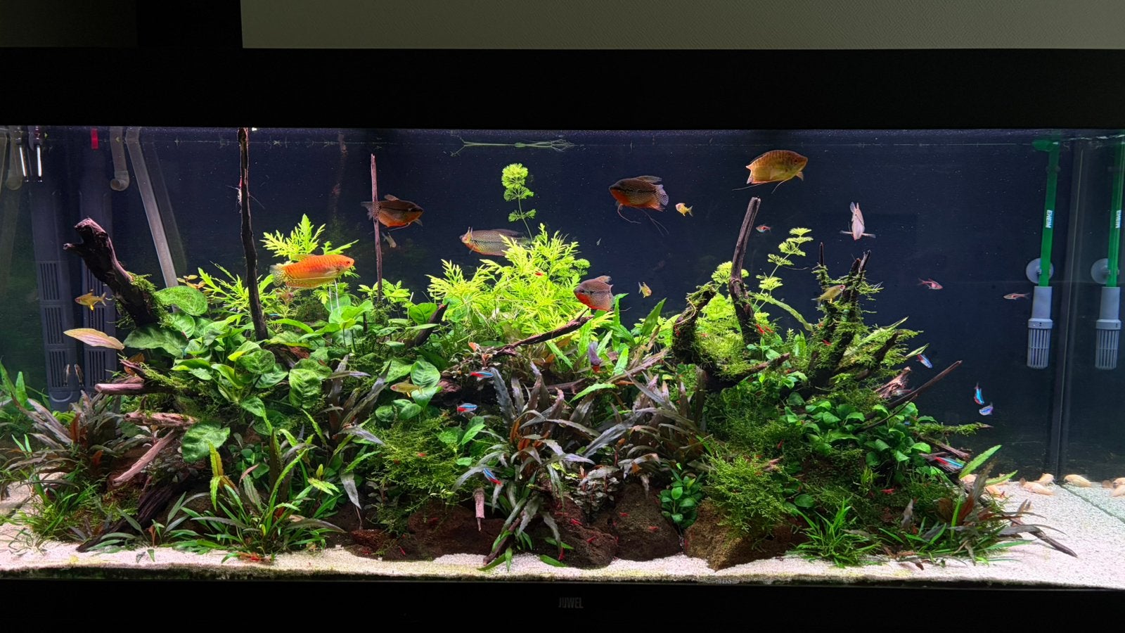 Juwel Rio 450 compleet aquarium – extra techniek, Dieren en Toebehoren, Ophalen, Zo goed als nieuw, Juwel, Aquariummeubel
