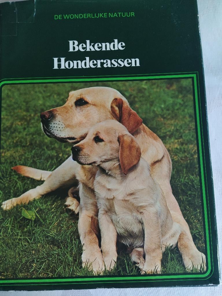 het mooiste hondenboek+bekende hondenrassen+de hond, Boeken, Ophalen of Verzenden, Zo goed als nieuw, Honden