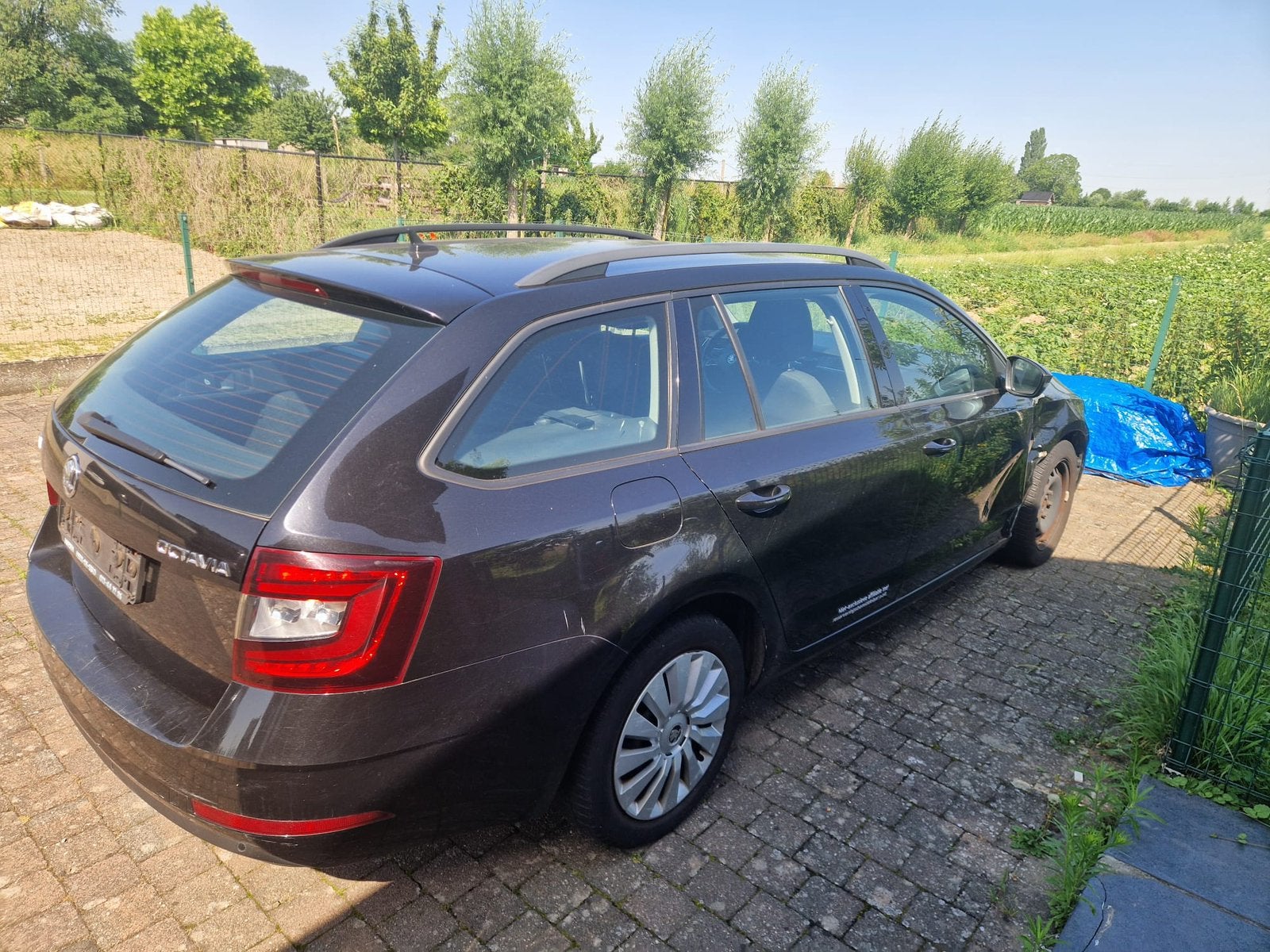 Skoda octavia 1.6tdi aut.2019( Export), Achat, Euro 6, Entreprise, Noir