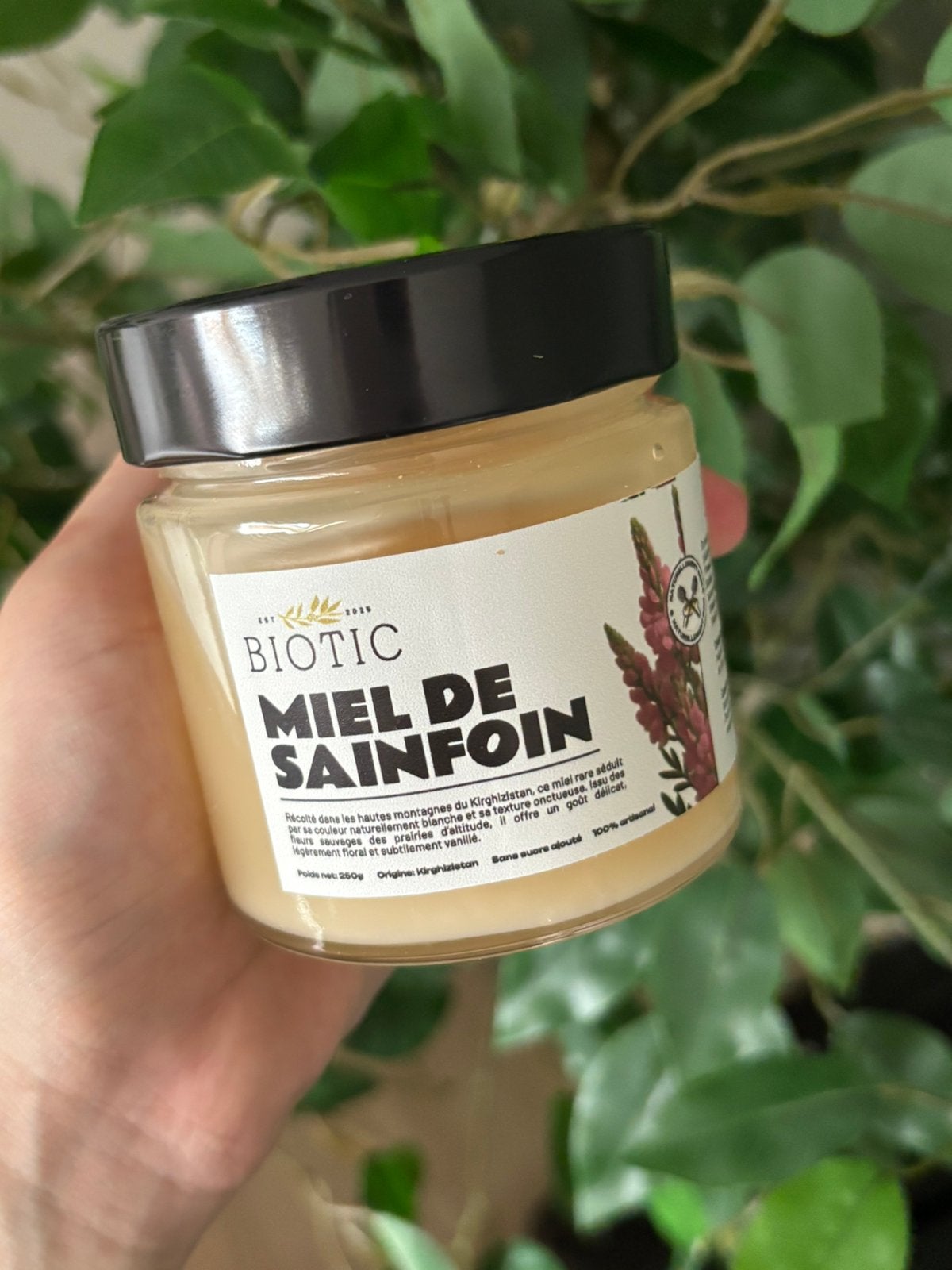 Miel de Sainfoin du Kirghizistan, Divers, Produits alimentaires, Enlèvement ou Envoi
