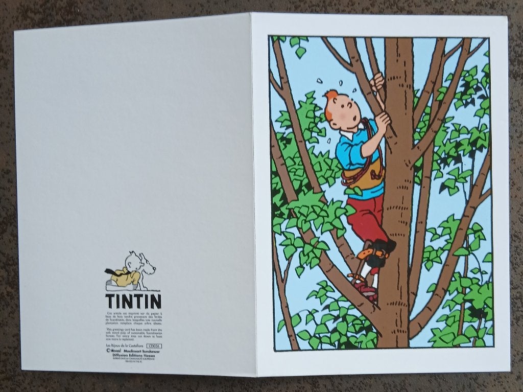 Carte double Tintin, Collections, Enlèvement