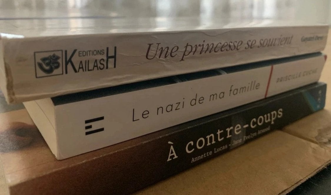 Lot 3 livres histoire famille, mémoire, témoignages & récits, Livres, Enlèvement, Comme neuf
