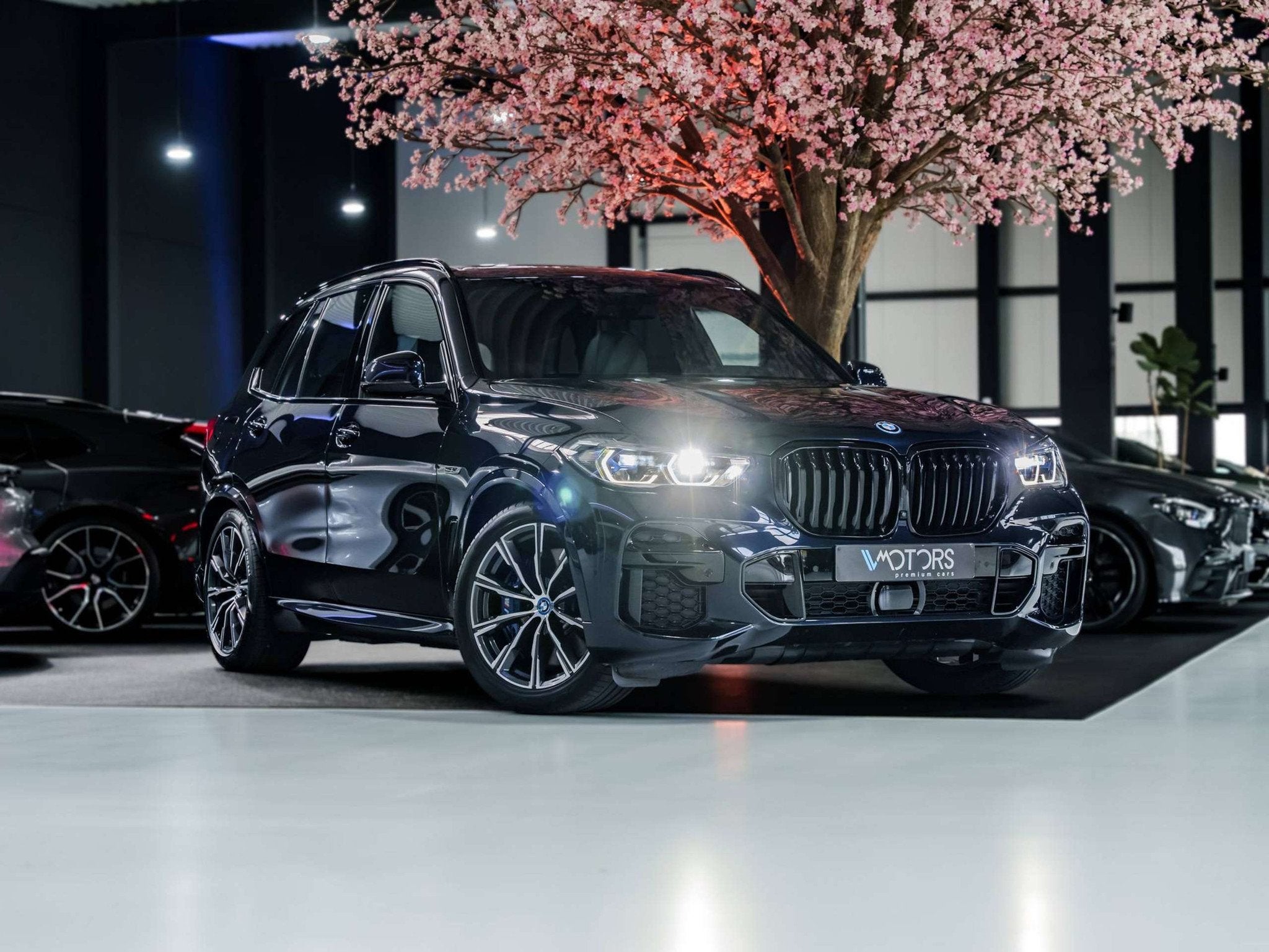 BMW X5 xDrive45e - M Sport - Laserlight - Pano - Luchtvering, Autos, Cuir, Achat, Entreprise, https://public.car-pass.be/vhr/3479f279-6d10-4fcd-a67a-2116e5d65b1d
