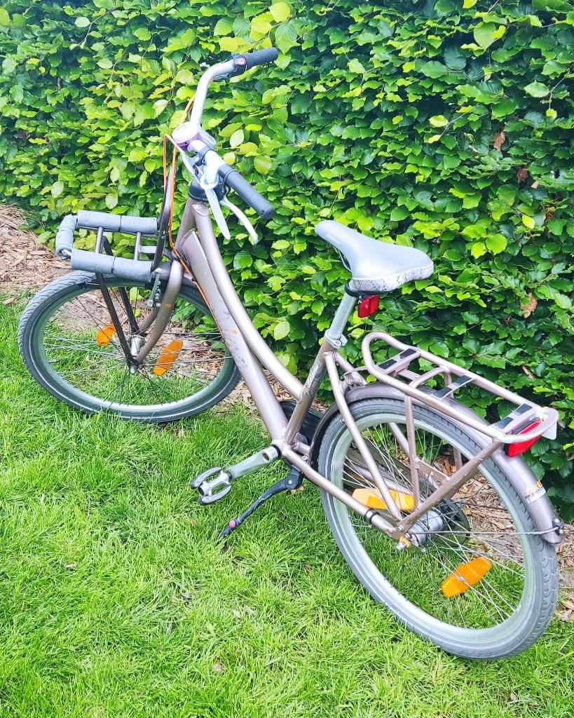 Juniorfiets, Fietsen en Brommers, Fietsen | Meisjes, Ophalen, Versnellingen, Schijfrem, BATAVUS