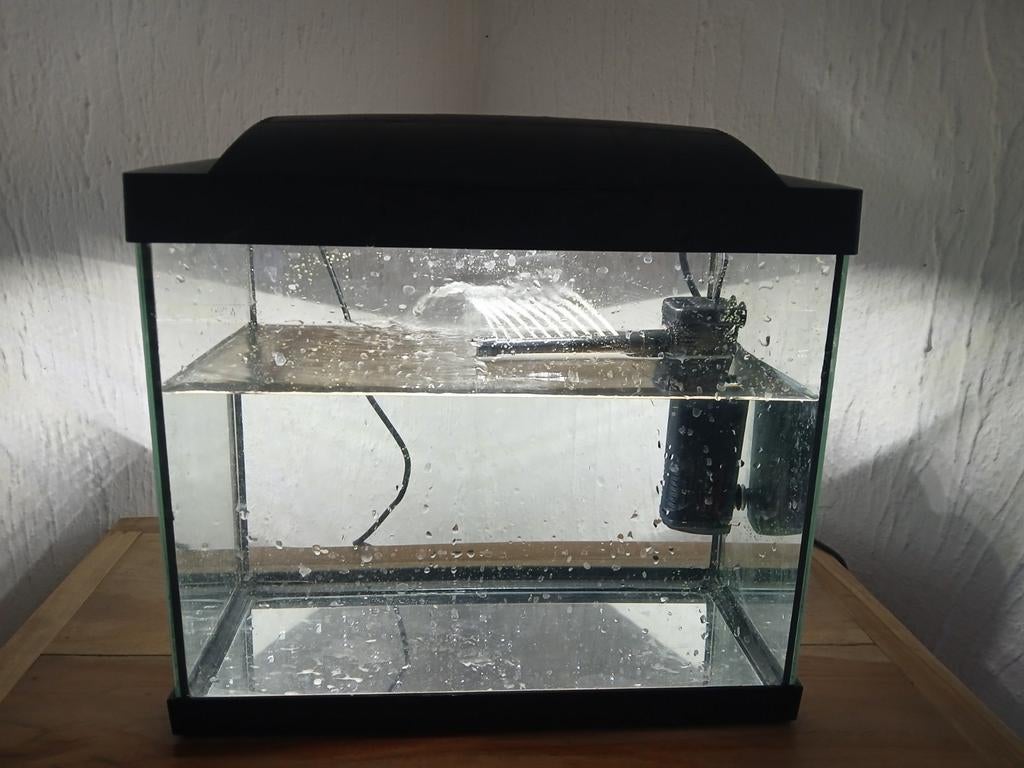 Aquarium, Dieren en Toebehoren