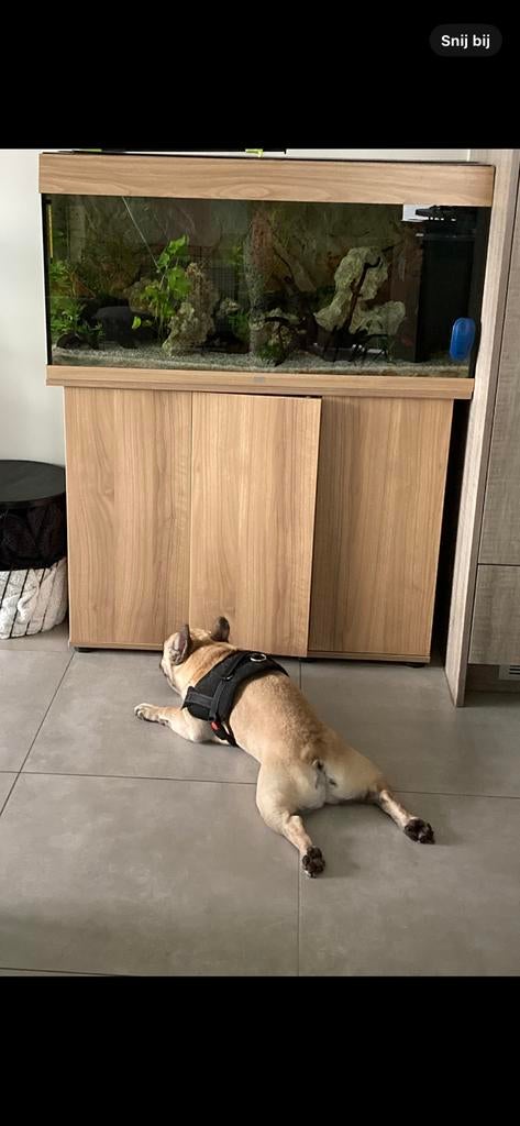 Aquarium juwel rio 180, Dieren en Toebehoren, Ophalen, Verwarming, Filter, Juwel