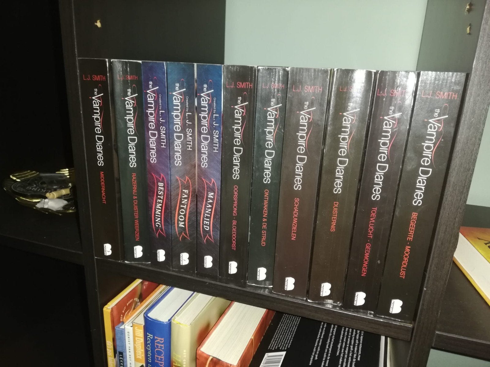 the vampire diaries + stefans diaries, Boeken, Ophalen