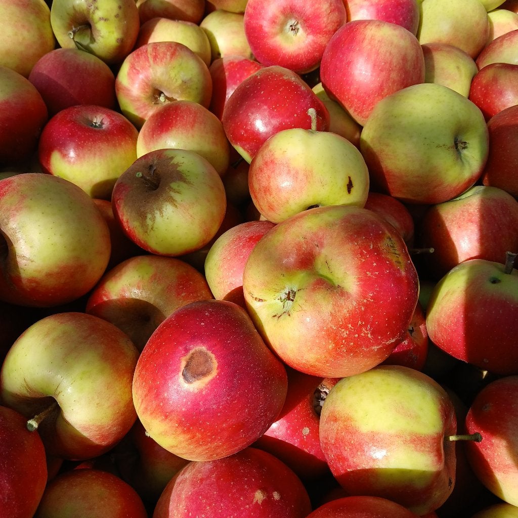Pommes, Enlèvement
